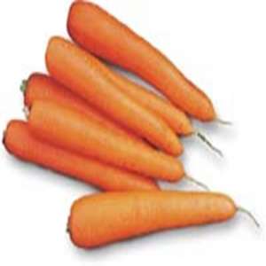 Лагуна F1 - морковь, 25 000 семян, (1,8-2,0), Nunhems (Нунемс), Голландия фото, цена